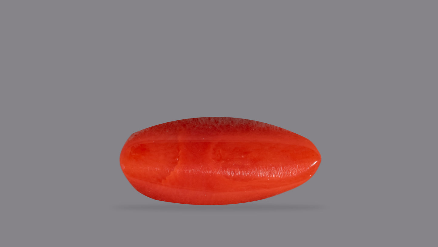 Natural Italian Red Coral (Moonga) 6.42 Carats