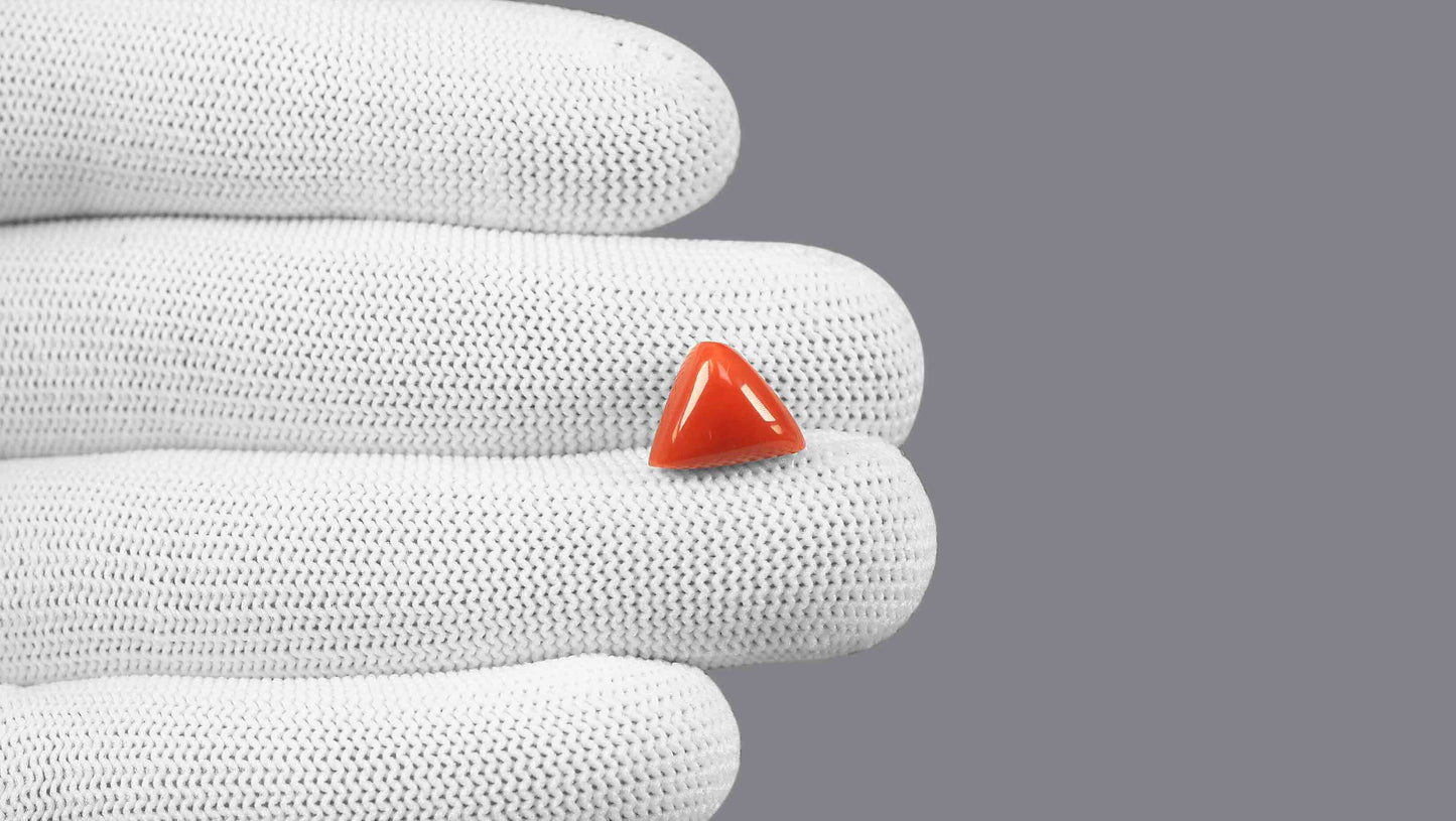 Natural Italian Red Coral (Moonga) 5.92 Carats