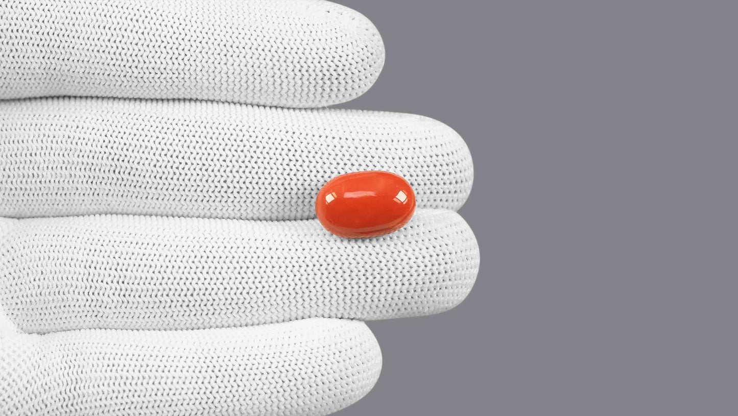 Natural Italian Red Coral (Moonga) 11.64 Carats