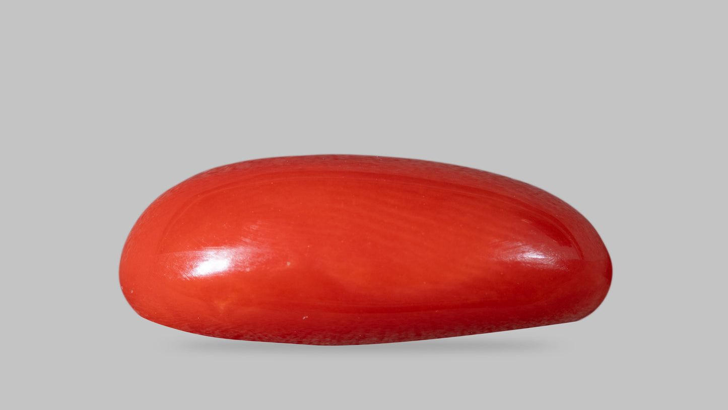 Natural Italian Red Coral (Moonga) 8.37 Carats
