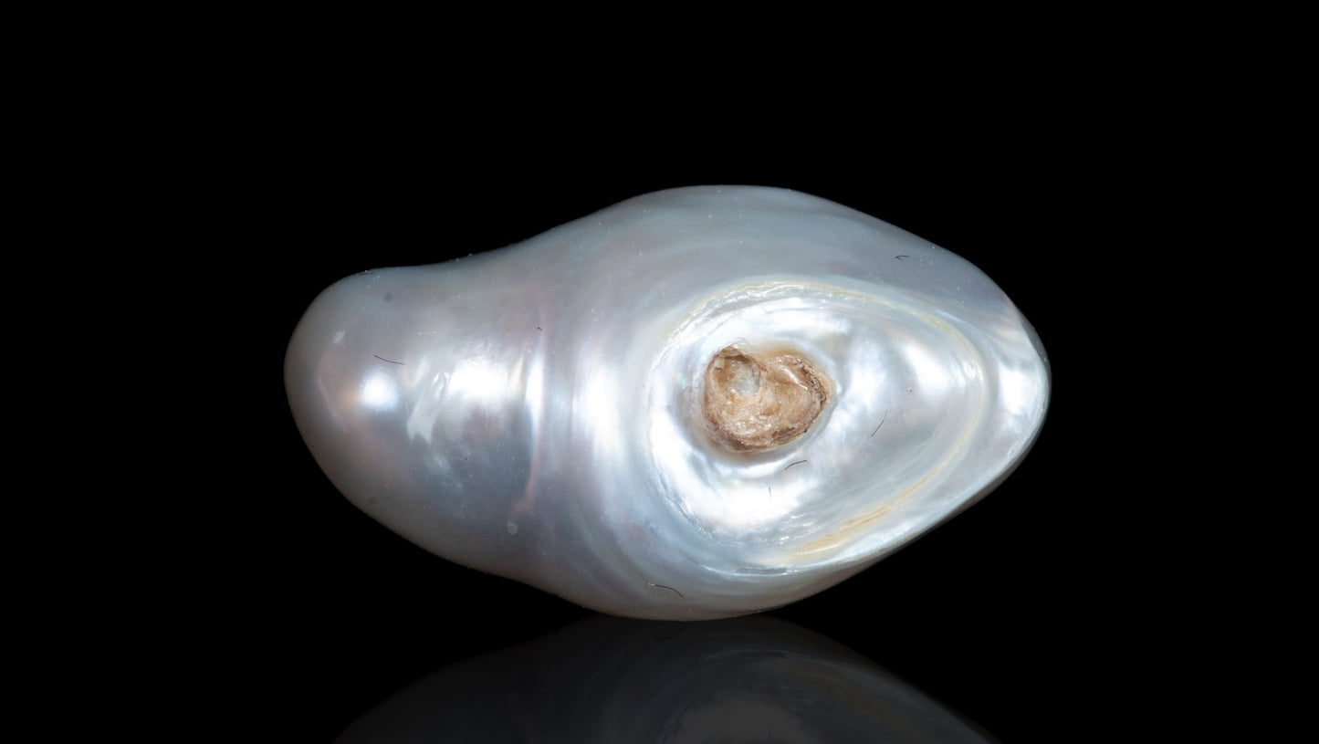 Venezuela Pearl (Moti) 6.58 Carats