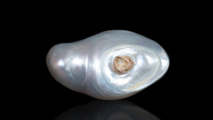 Venezuela Pearl (Moti) 6.58 Carats