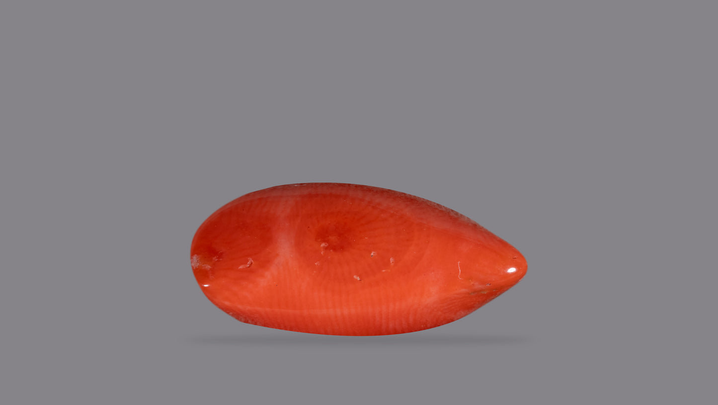 Natural Red Coral (Moonga) 9.67 Carats