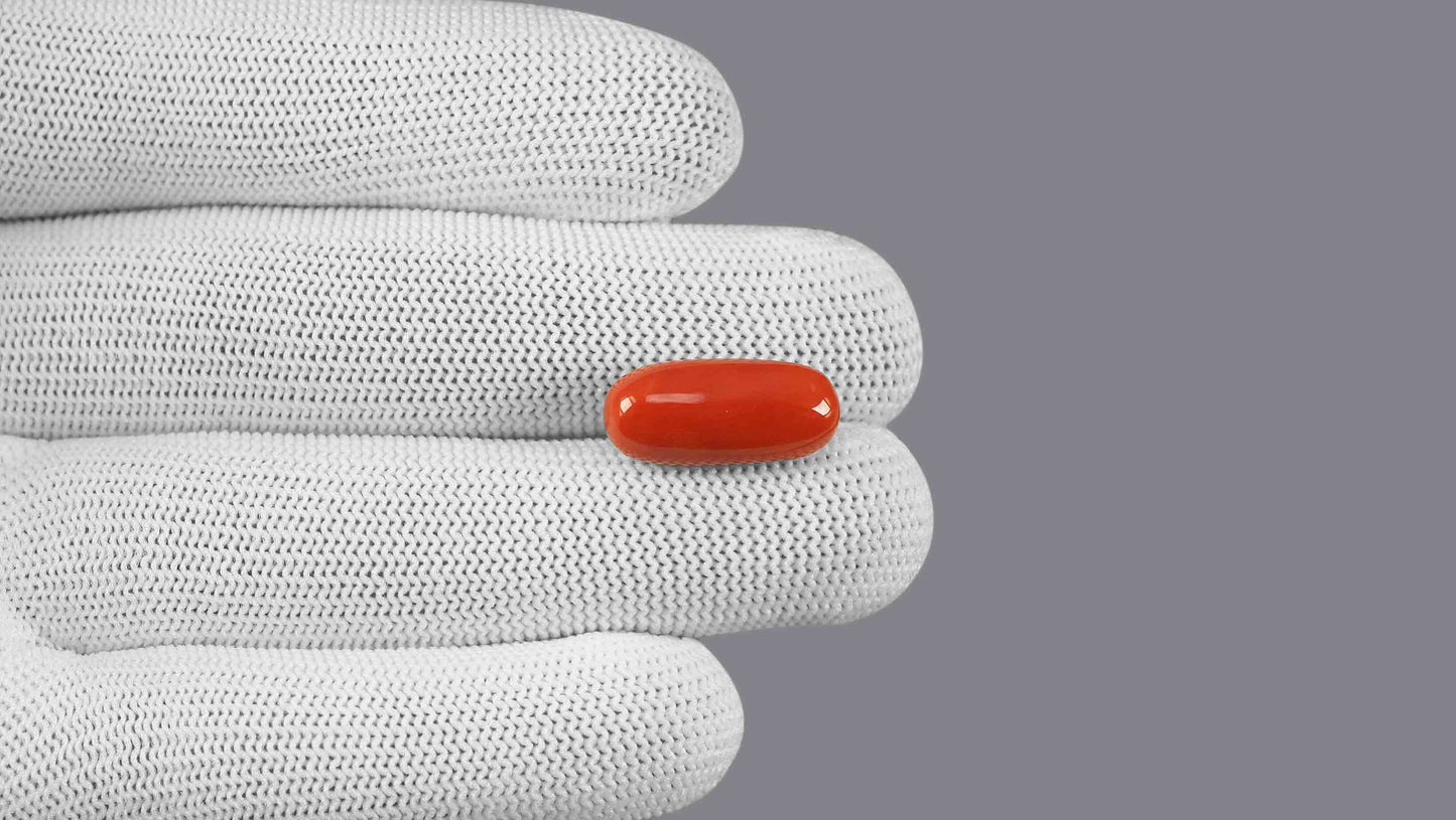 Natural Italian Red Coral (Moonga) 12.45 Carats