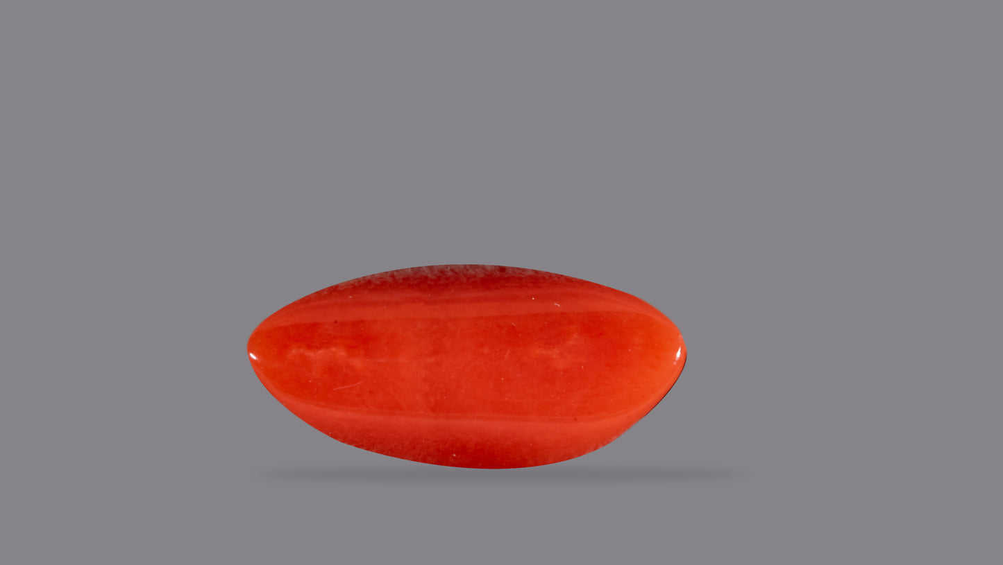 Natural Italian Red Coral (Moonga) 6.96 Carats