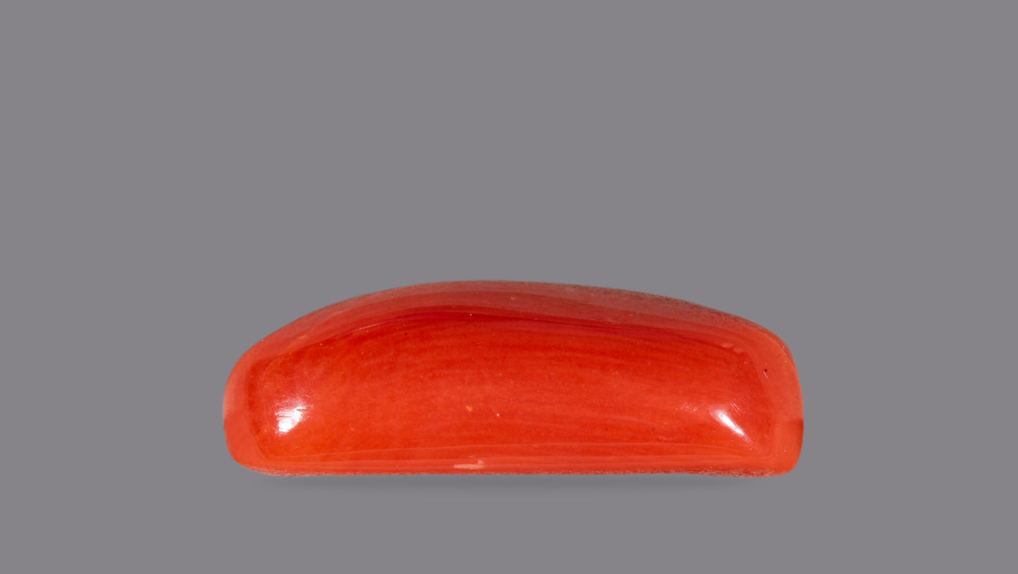 Natural Italian Red Coral (Moonga) 5.91 Carats