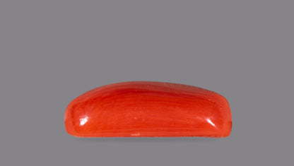 Natural Italian Red Coral (Moonga) 5.91 Carats