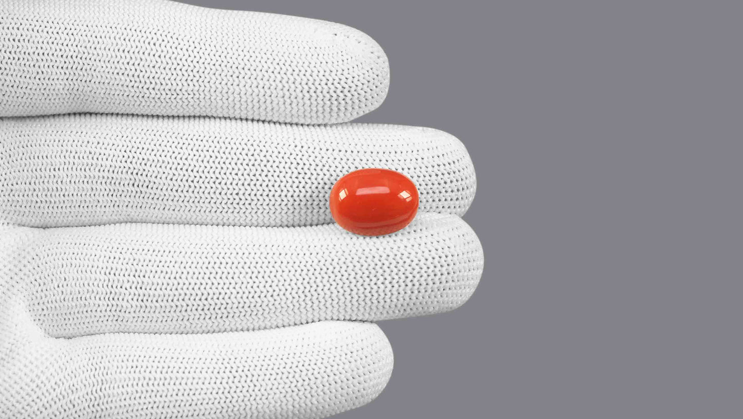 Natural Italian Red Coral (Moonga) 9.17 Carats