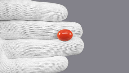 Natural Italian Red Coral (Moonga) 9.17 Carats