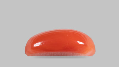 Japanese Red Coral (Moonga) 5.24 Carats