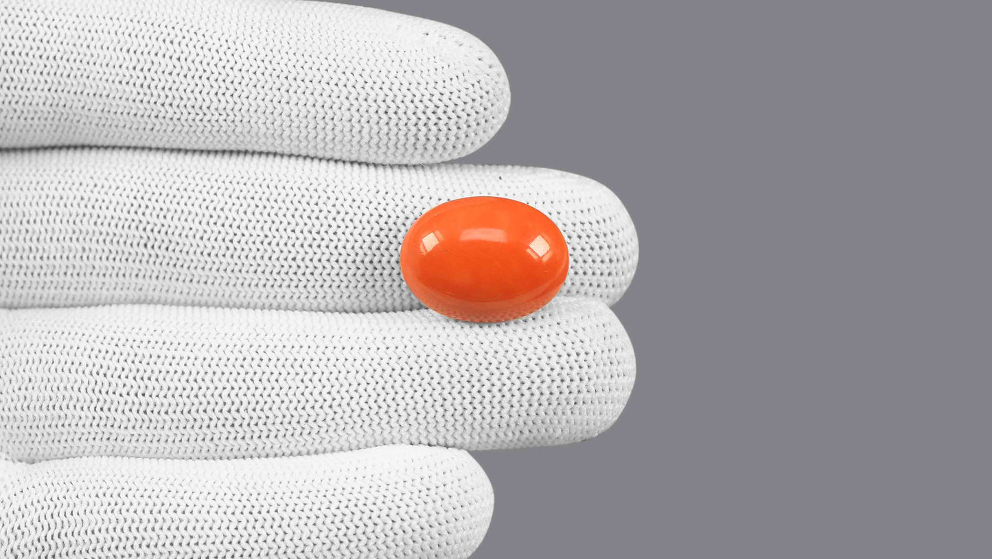 Japanese Red Coral (Moonga) 18.41 Carats