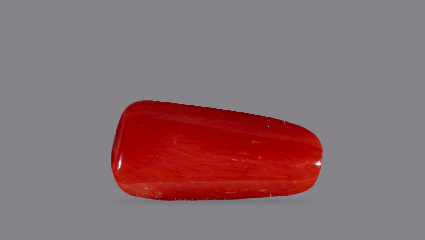 Natural Italian Red Coral (Moonga) 6.16 Carats