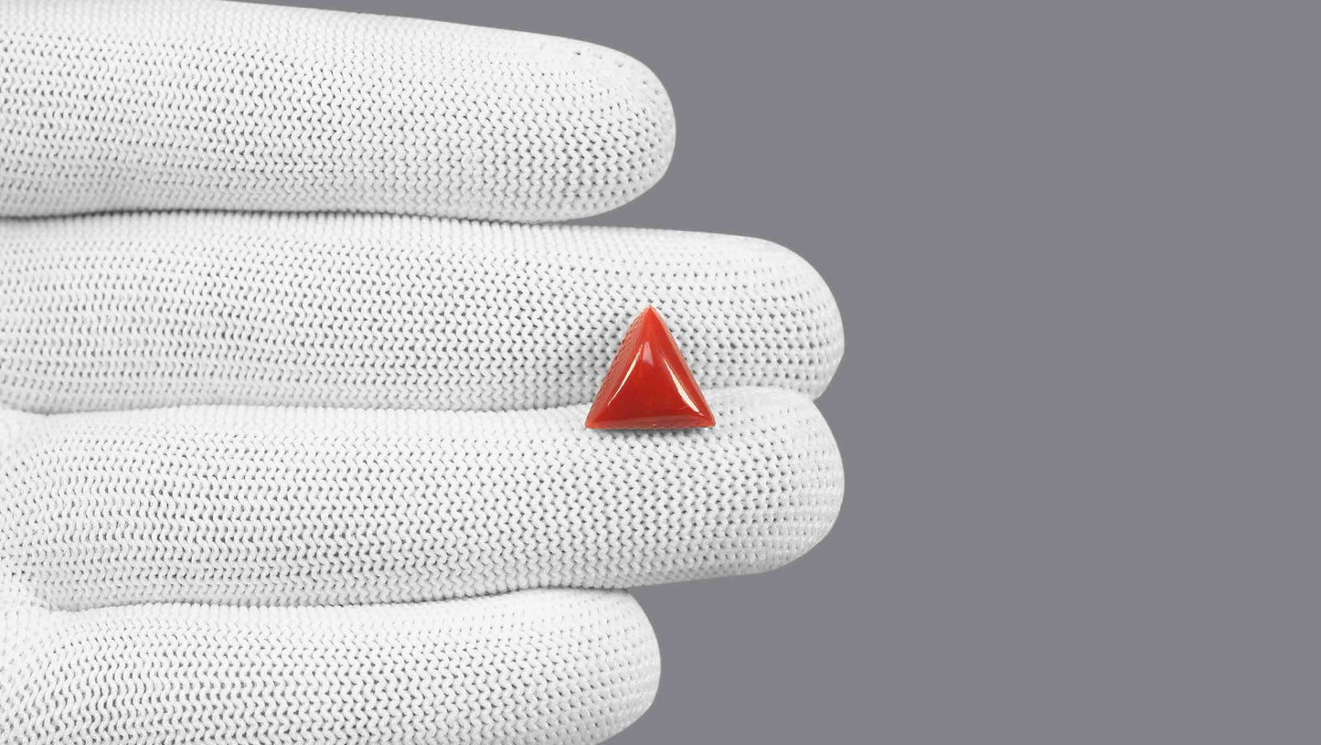 Natural Italian Red Coral (Moonga) 5.62 Carats