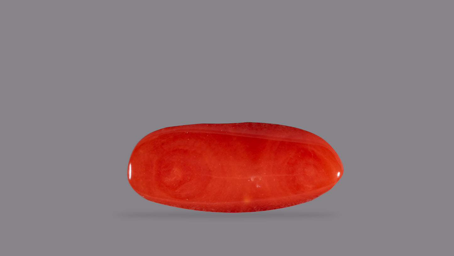 Natural Italian Red Coral (Moonga) 6.45 Carats