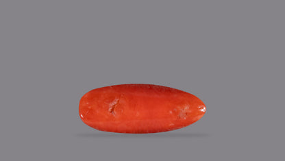 Natural Italian Red Coral (Moonga) 6.29 Carats