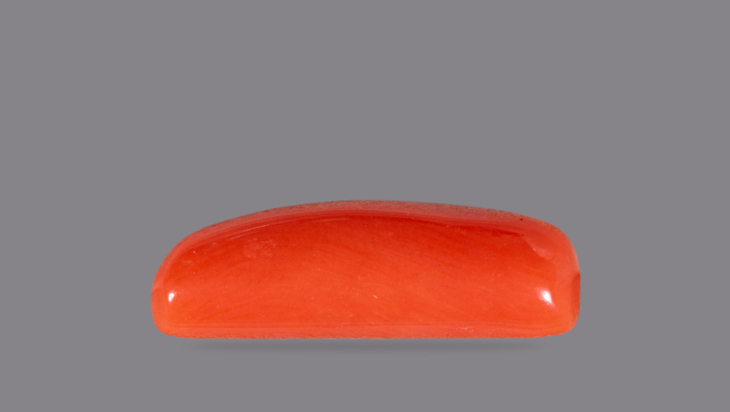 Natural Italian Red Coral (Moonga) 4.63 Carats