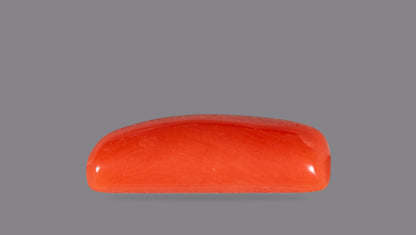 Natural Italian Red Coral (Moonga) 4.63 Carats