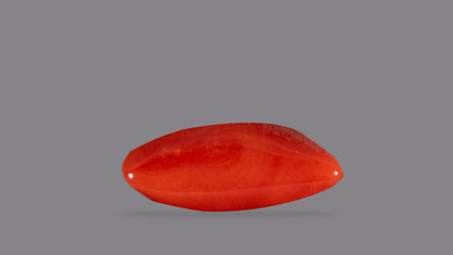 Natural Italian Red Coral (Moonga) 5.96 Carats