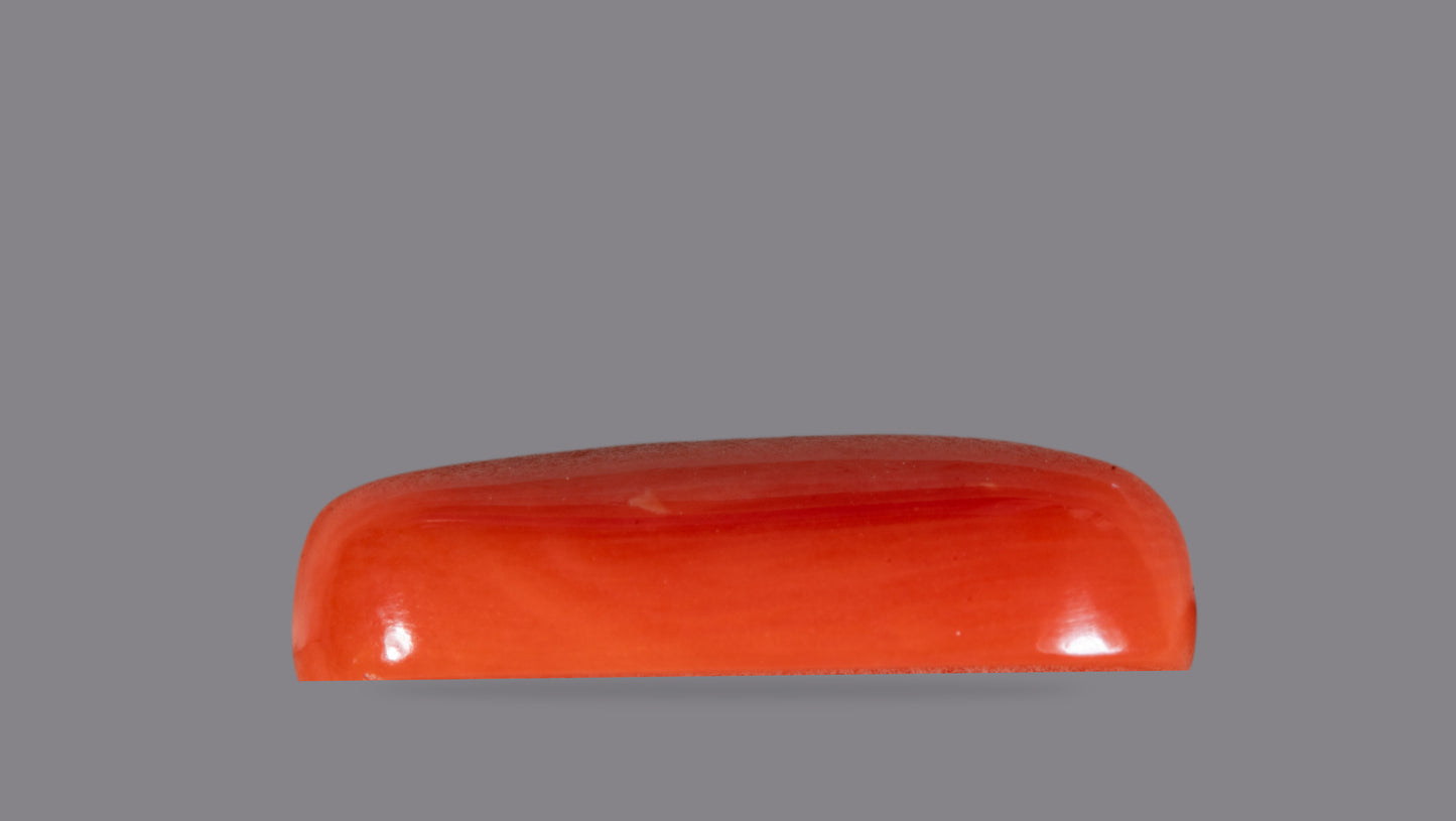 Natural Italian Red Coral (Moonga) 7.09 Carats