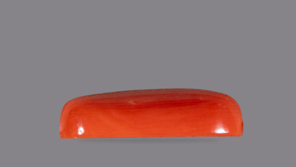 Natural Italian Red Coral (Moonga) 7.09 Carats