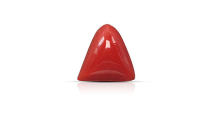 Natural Italian Red Coral (Moonga) 6.01 Carats