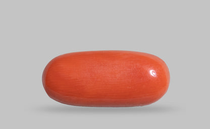 Natural Red Coral (Moonga) 7.36 Carats