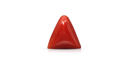Natural Italian Red Coral (Moonga) 6.26 Carats