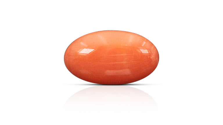 Japanese Red Coral (Moonga) 10.53 Carats