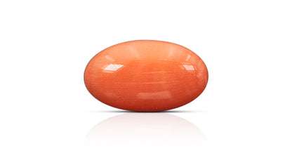 Japanese Red Coral (Moonga) 10.53 Carats