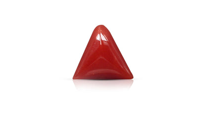 Natural Italian Red Coral (Moonga) 5.65 Carats