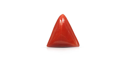 Natural Italian Red Coral (Moonga) 5.72 Carats