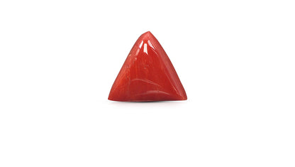 Natural Italian Red Coral (Moonga) 10.34 Carats