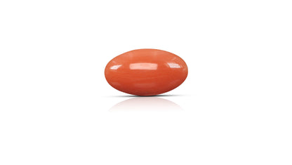 Japanese Red Coral (Moonga) 6.81 Carats