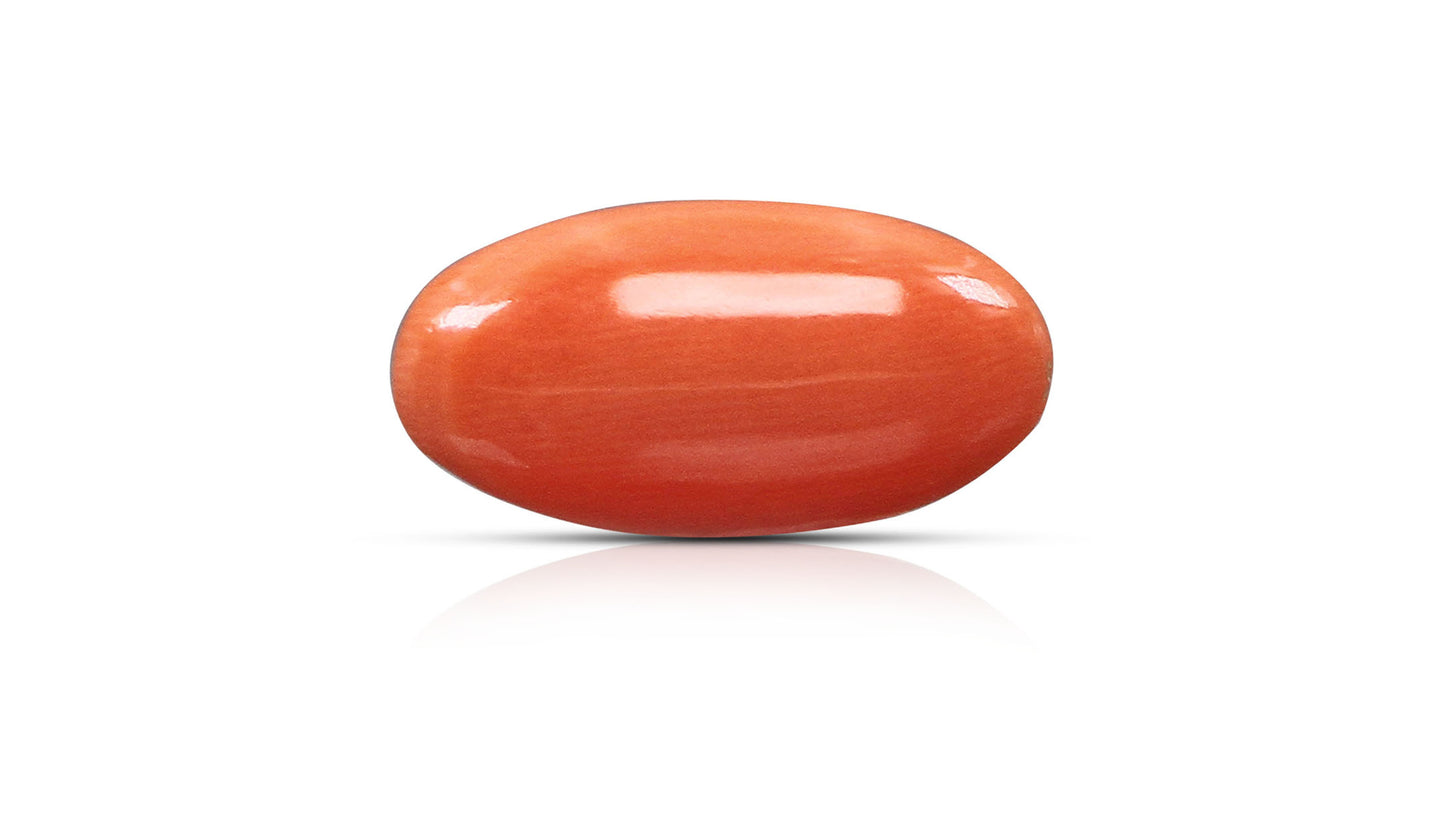 Japanese Red Coral (Moonga) 5.85 Carats