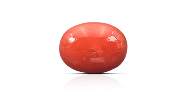Natural Italian Red Coral (Moonga) 8.40 Carats