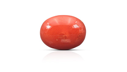 Natural Italian Red Coral (Moonga) 8.40 Carats