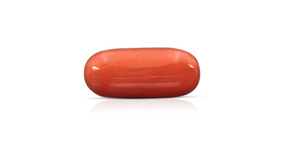 Natural Italian Red Coral (Moonga) 9.16 Carats