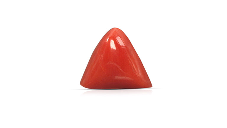 Natural Italian Red Coral (Moonga) 7.78 Carats