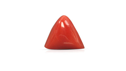 Natural Italian Red Coral (Moonga) 7.78 Carats