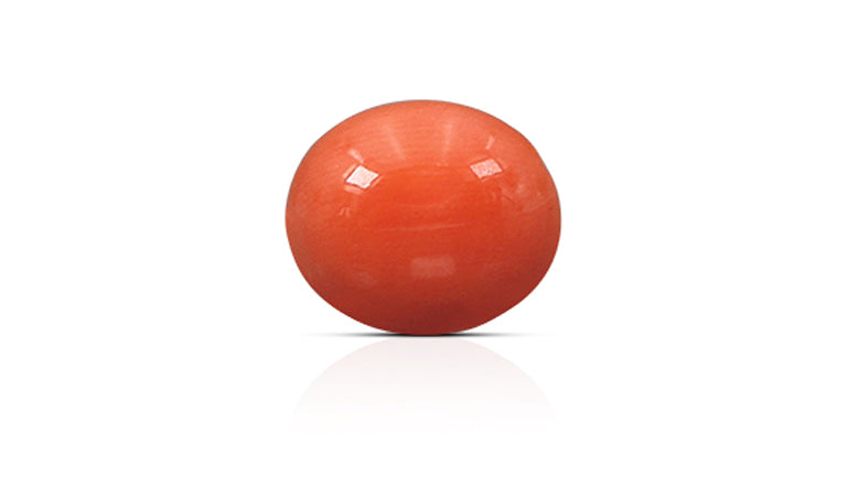 Japanese Red Coral (Moonga) 4.89 Carats