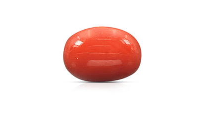 Natural Italian Red Coral (Moonga) 9.35 Carats