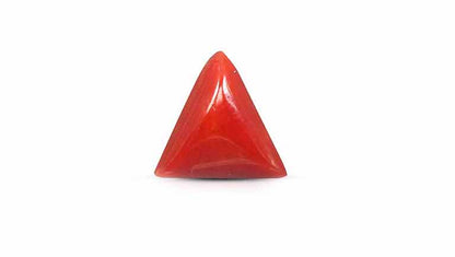Natural Italian Red Coral (Moonga) 5.62 Carats