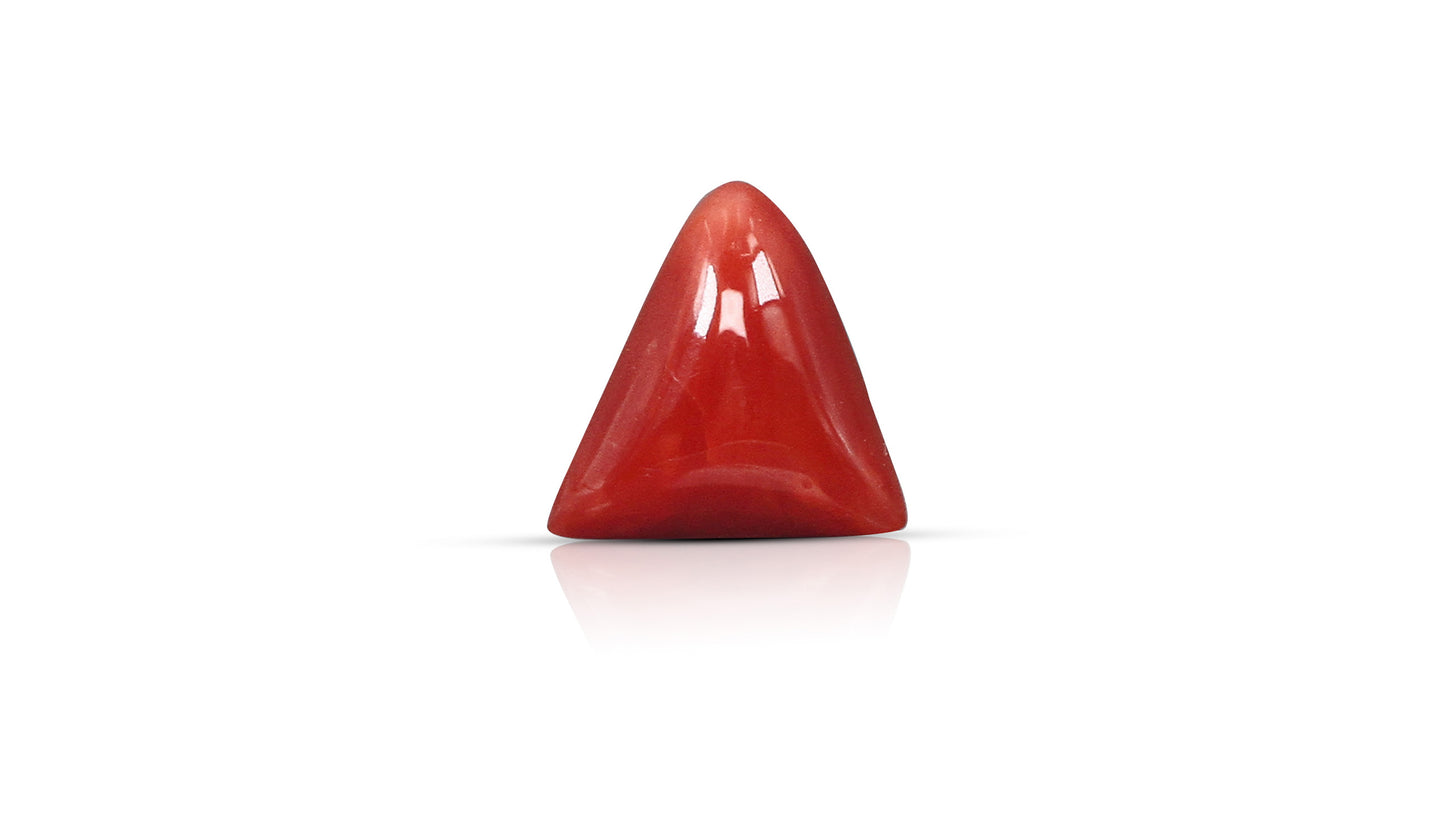 Natural Italian Red Coral (Moonga) 5.83 Carats
