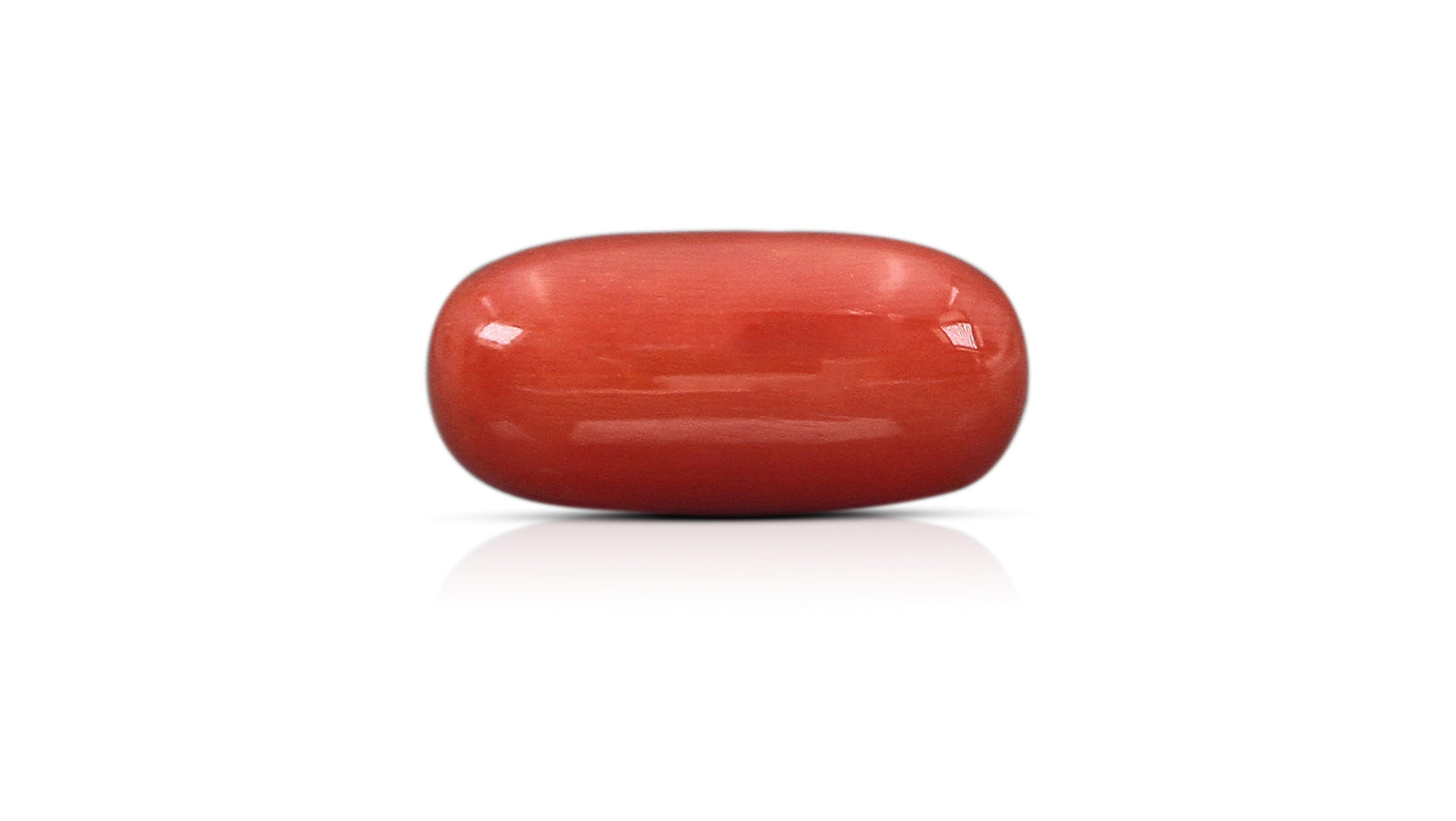 Natural Italian Red Coral (Moonga) 15.82 Carats