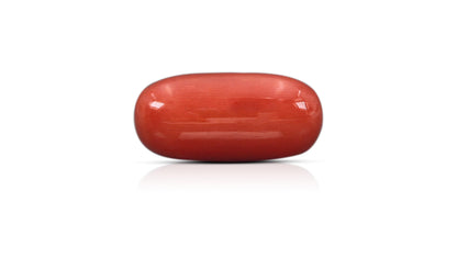 Natural Italian Red Coral (Moonga) 15.82 Carats