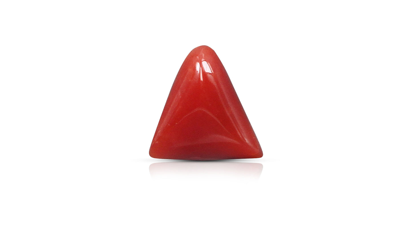 Natural Italian Red Coral (Moonga) 6.31 Carats