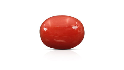 Natural Italian Red Coral (Moonga) 9.17 Carats