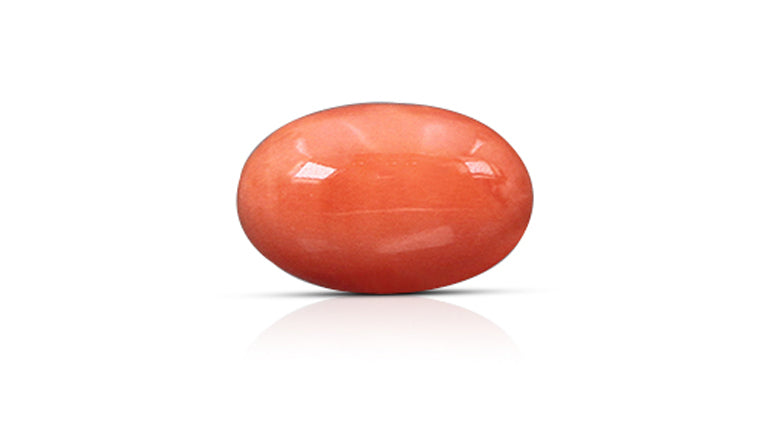 Japanese Red Coral (Moonga) 6.08 Carats