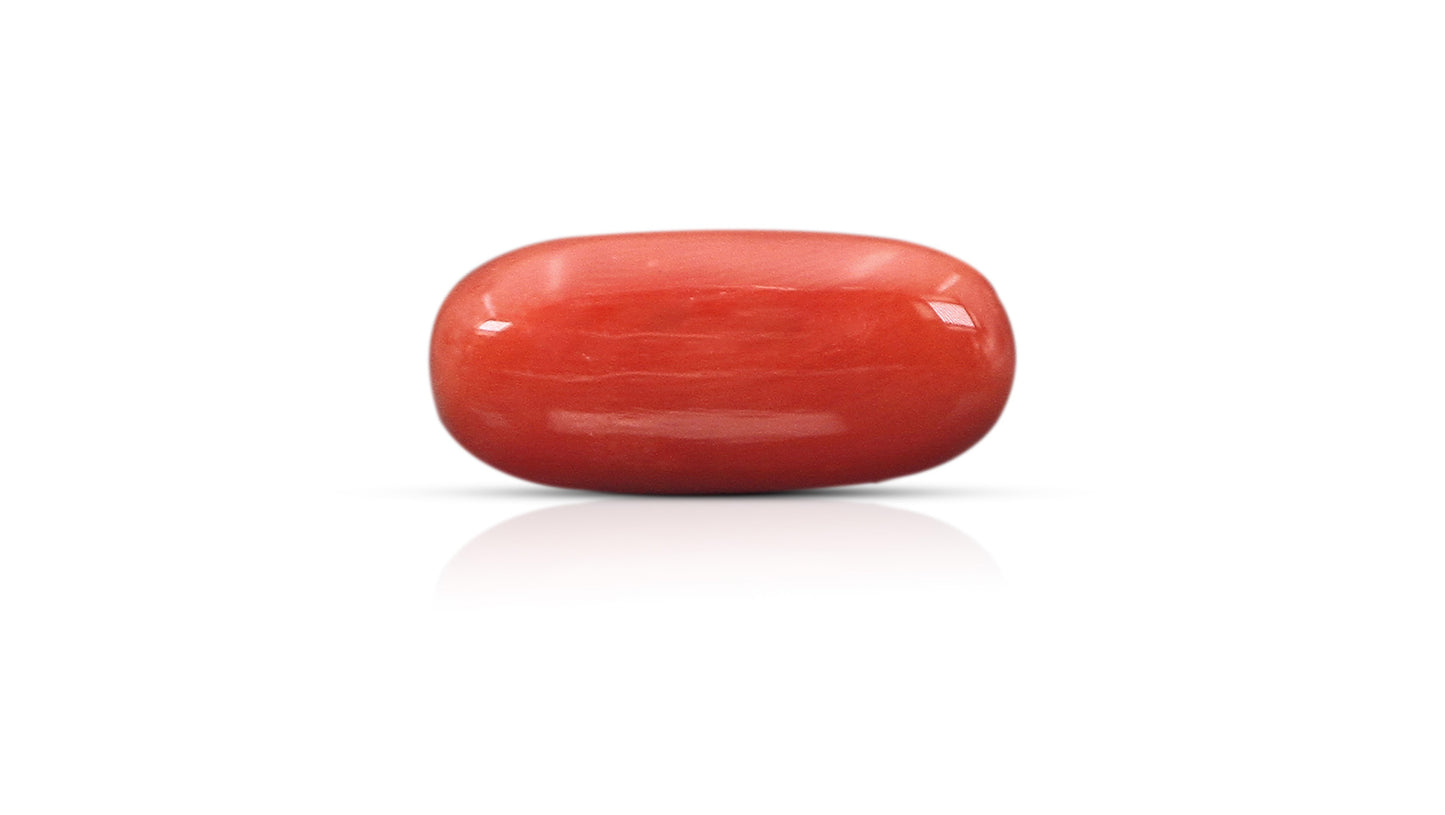 Natural Italian Red Coral (Moonga) 12.45 Carats