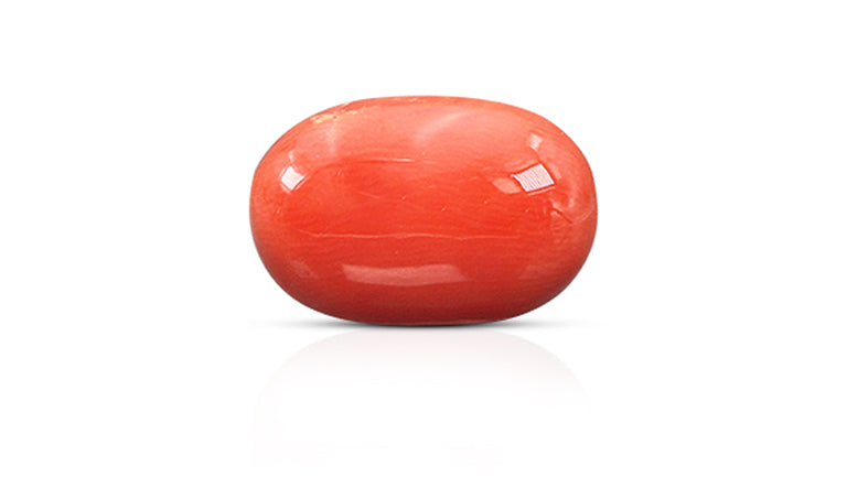 Natural Italian Red Coral (Moonga) 11.64 Carats